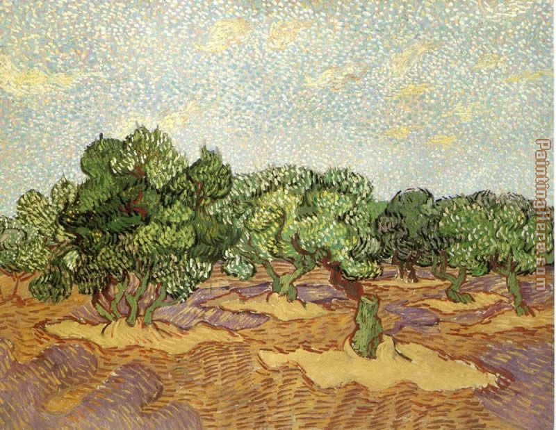 Olive Grove II